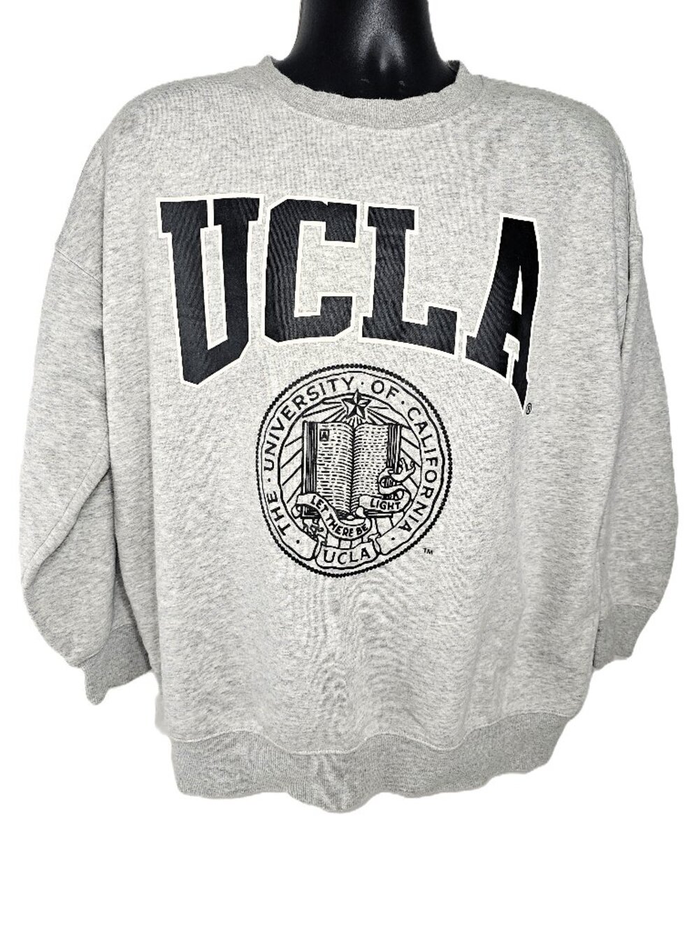 UCLA Gray Sweatshirt – H&M Logo – Size Small